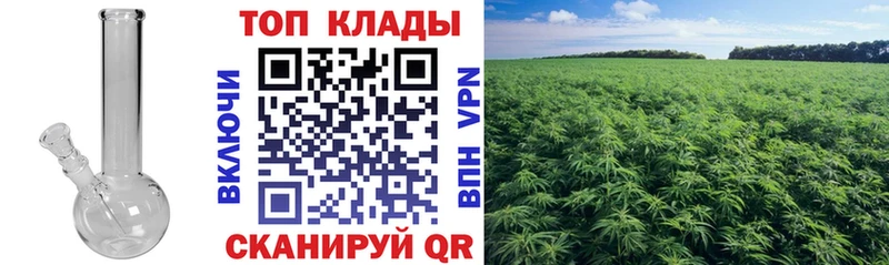 Что такое Заречный Кокаин  МДМА  Амфетамин  МАРИХУАНА  ГАШ  Мефедрон 
