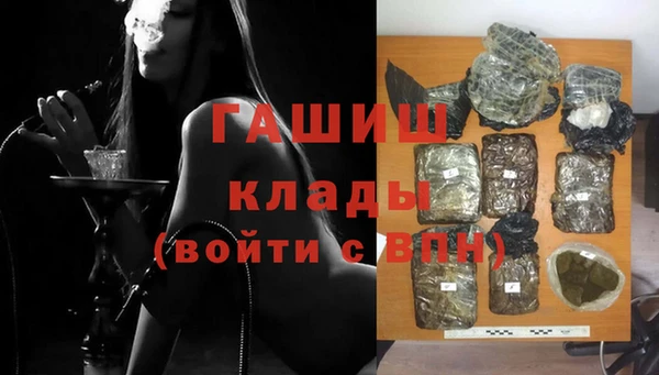 гашик Вяземский