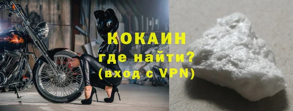 гашик Вяземский