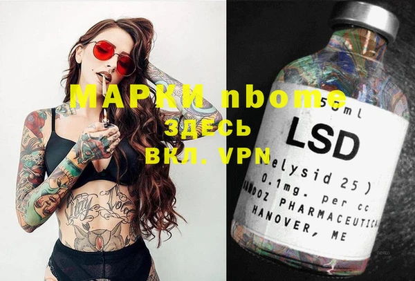 гашик Вяземский