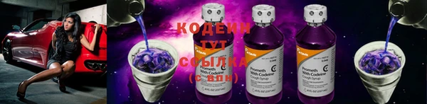 гашик Вяземский