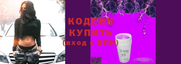 гашик Вяземский