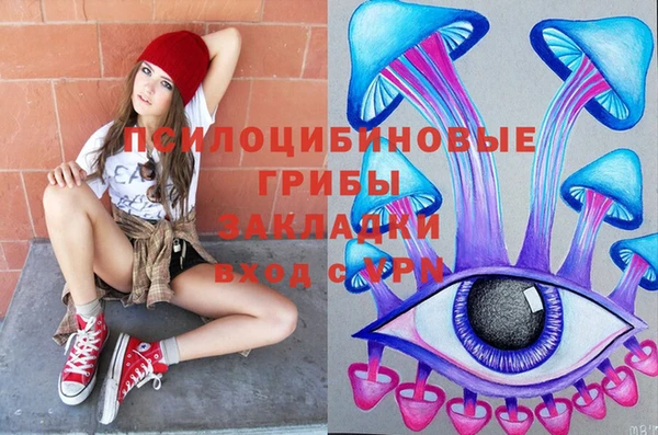 соль ск Вязьма