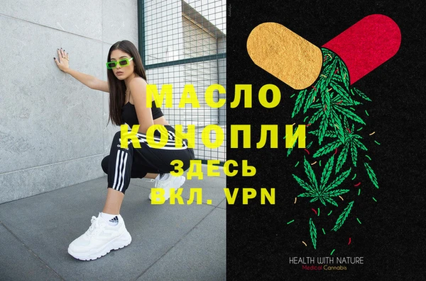гашик Вяземский