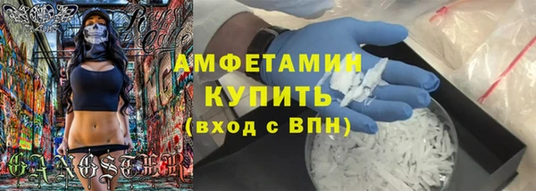 гашик Вяземский