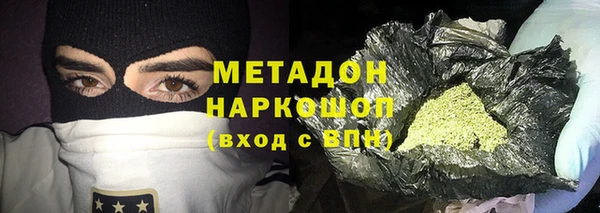 гашик Вяземский
