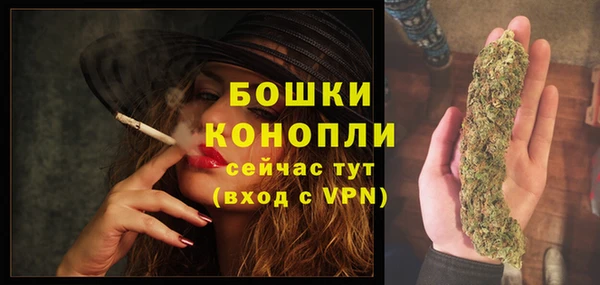 гашик Вяземский